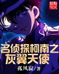 《名侦探柯南之灰翼天使》小说封面