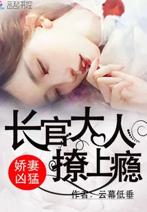 《娇妻凶猛：长官大人，撩上瘾！》小说封面