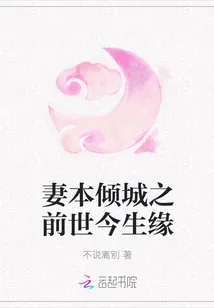 《妻本倾城之前世今生缘》小说封面