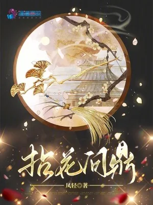 《拈花问鼎》小说封面
