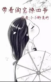 《带着淘宝撩四爷》小说封面