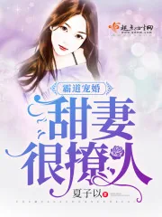 《霸道宠婚：甜妻，很撩人》小说封面