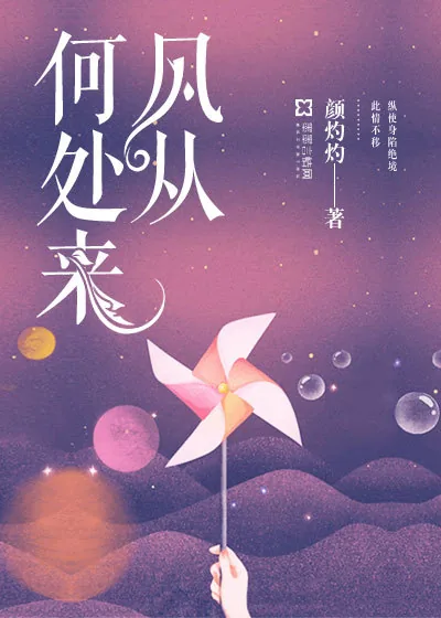《风从何处来》小说封面