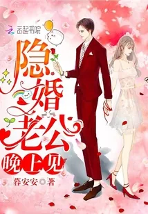 《隐婚老公，晚上见！》小说封面