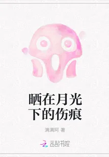《晒在月光下的伤痕》小说封面