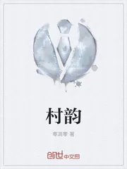 《村韵》小说封面