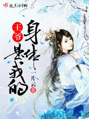 《王爷，身体是我的》小说封面