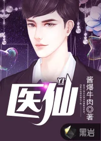 《医仙》小说封面