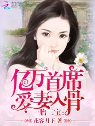 《一胎二宝：亿万首席爱妻入骨》小说封面