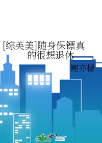 《[综英美]随身保镖真的很想退休》小说封面