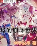 《我的崩坏世界》小说封面