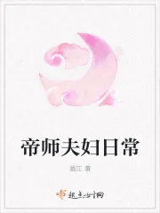 《帝师夫妇日常》小说封面