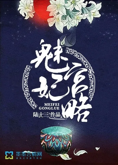 《魅妃宫略》小说封面