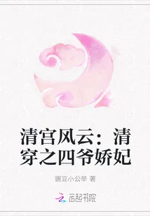 《清宫风云：清穿之四爷娇妃》小说封面