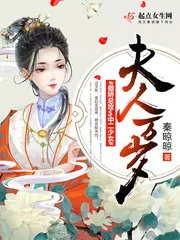 《夫人万岁》小说封面