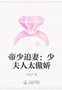 《帝少追妻：少夫人太傲娇》小说封面