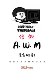 《信仰AWM》小说封面