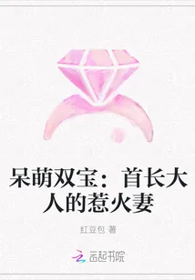 《呆萌双宝：首长大人的惹火妻》小说封面