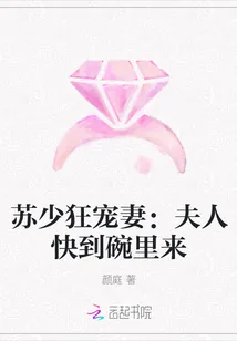 《苏少狂宠妻:夫人快到碗里来》小说封面