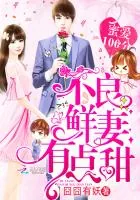 《蜜爱100分：不良鲜妻有点甜》小说封面