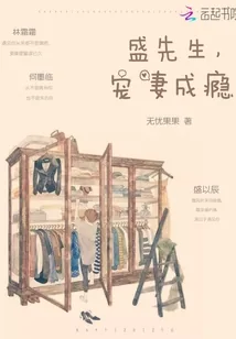 《盛先生,宠妻成瘾》小说封面