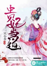 《贵妃当道》小说封面