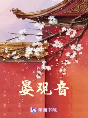 《晏观音》小说封面