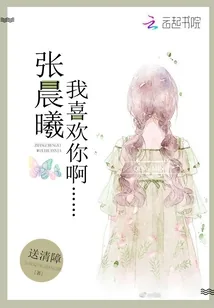 《张晨曦，我喜欢你啊》小说封面