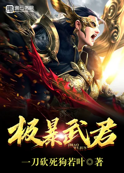 《极暴武君》小说封面