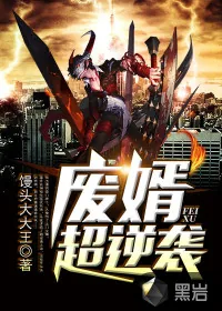《废婿超逆袭》小说封面