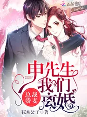 《总裁娇妻：申先生，我们离婚》小说封面