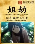 《姐劫》小说封面
