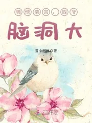 《锦绣清宫：四爷，脑洞大》小说封面