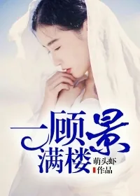 《一顾景满楼》小说封面