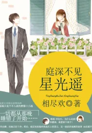 《庭深不见星光遥》小说封面