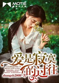 《爱是寂寞的过往》小说封面