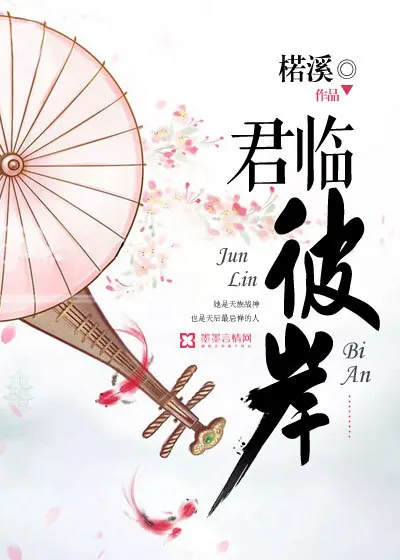 《君临彼岸》小说封面