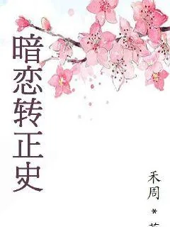 《暗恋转正史》小说封面