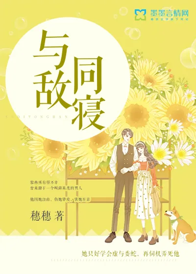 《与敌同寝》小说封面