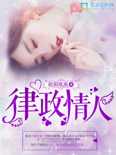 《律政情人》小说封面