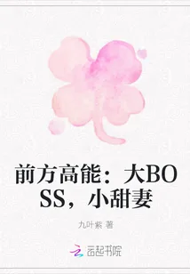 《前方高能：大BOSS，小甜妻》小说封面