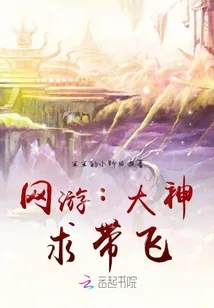 《网游：大神，求带飞》小说封面