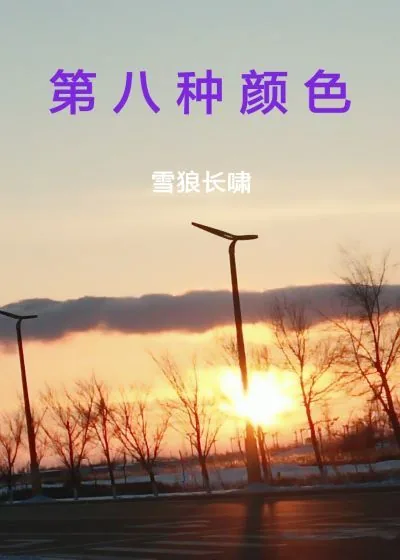 《第八种颜色》小说封面