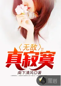 《无敌真寂寞》小说封面