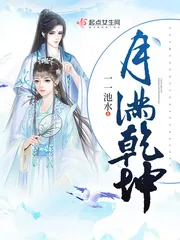 《月满乾坤》小说封面