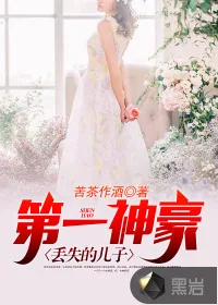 《第一神豪丢失的儿子》小说封面