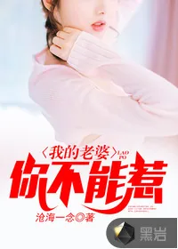 《我的老婆你不能惹》小说封面
