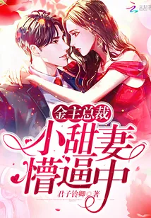 《小甜妻，懵比中》小说封面