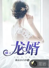 《龙婿》小说封面