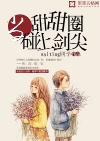 《当甜甜圈碰上剑尖》小说封面